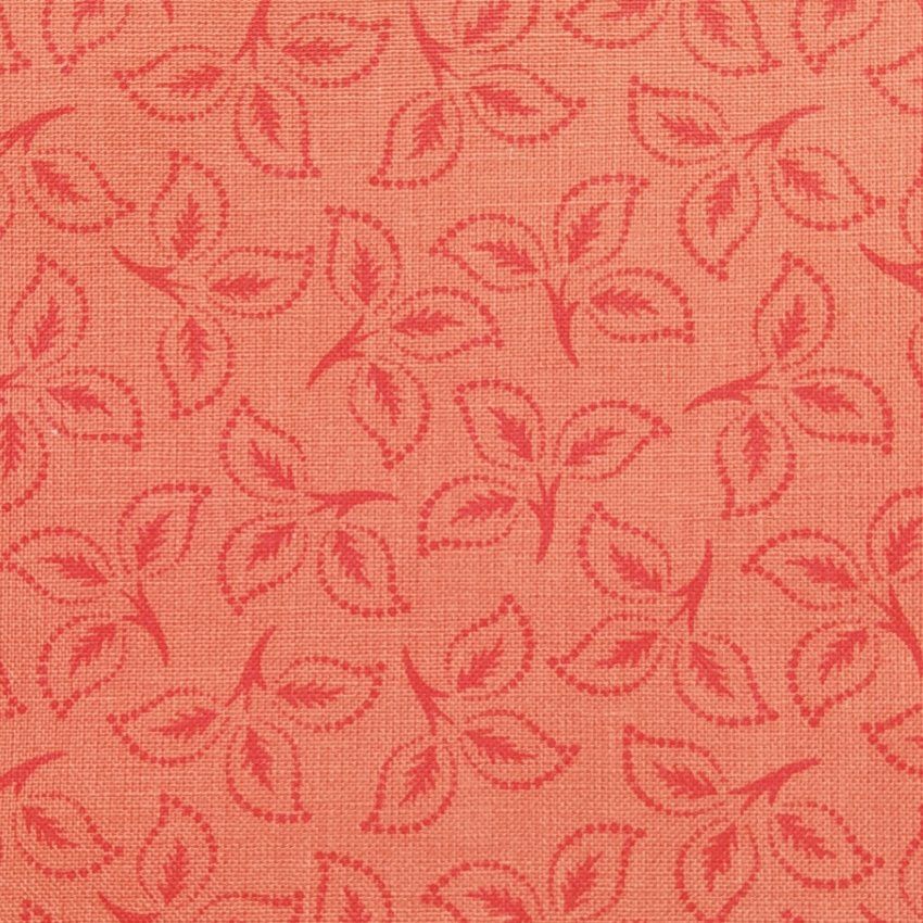 fondo con muestra de hojas salmon f026