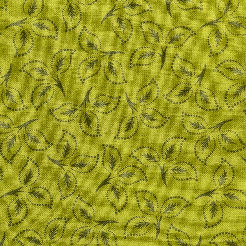 fondo con muestra de hojas verde f028